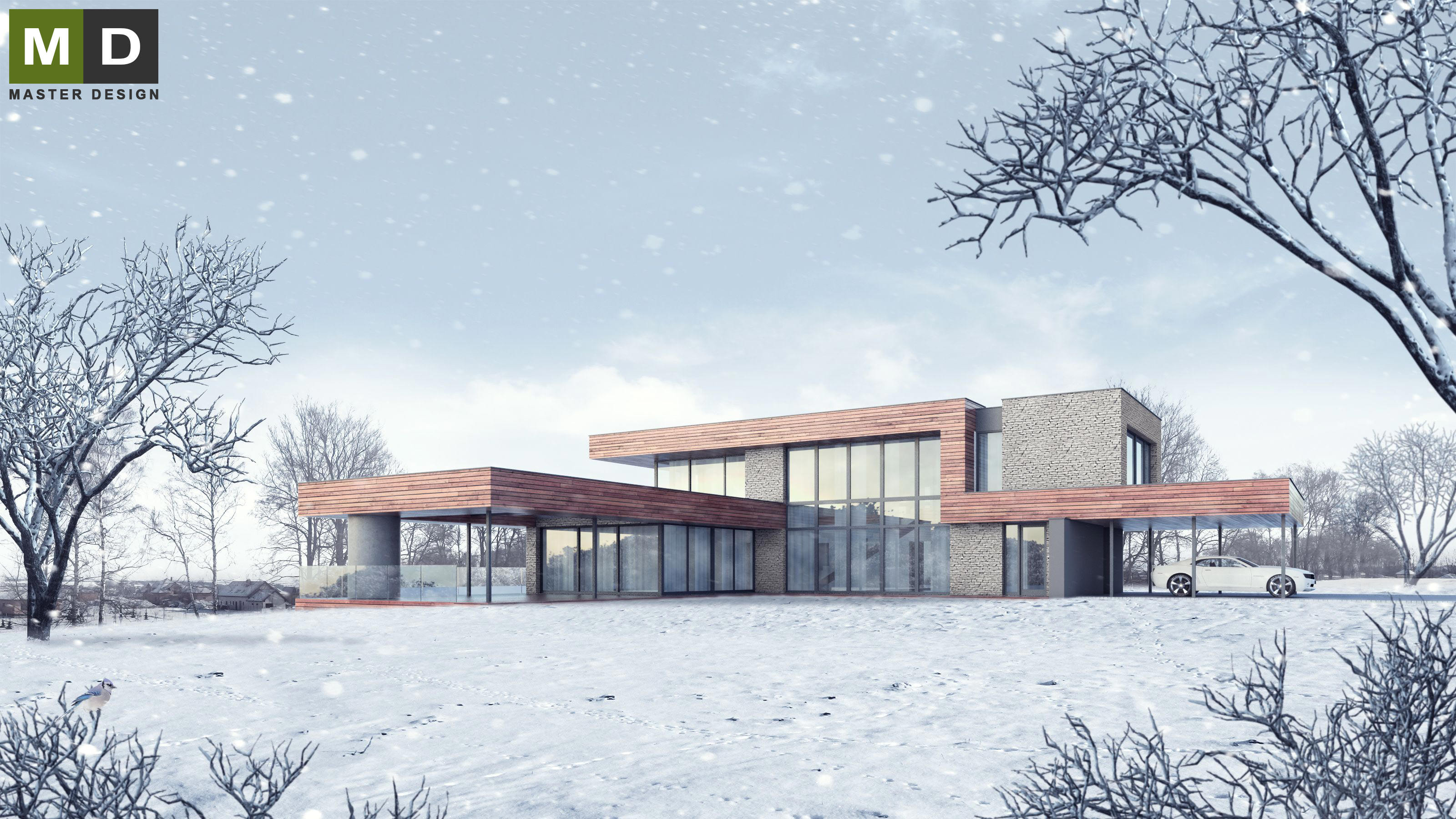 Luxury low energy house in the hillsideJihlava - visualisation2 Luxury low energy house in the hillsideJihlava - visualisation2