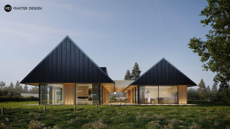 Villa with spacious garden house for family gatherings - Přelouč - main visualisation
