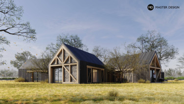 Family House in the Shape of a Star - Čeladná - main visualisation