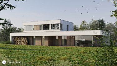 Dům s výraznými liniemi a dřevěným obkladem fasád - Vrátkov - hlavní vizualizace