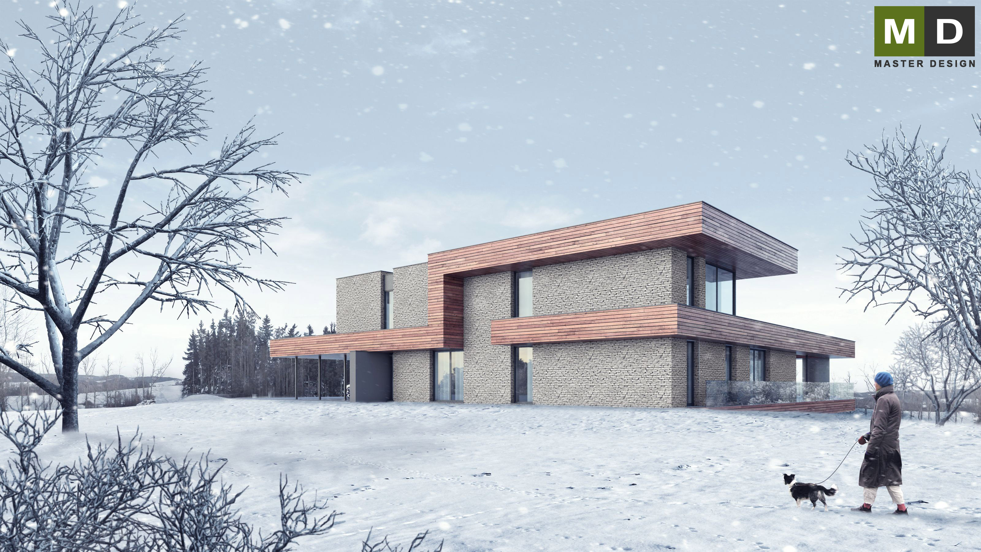 Luxury low energy house in the hillside - Jihlava - Vizualizace 3
